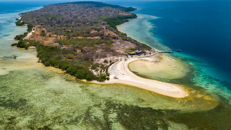 Menjangan Island and Pemuteran where Tranquility and Adventure Meet