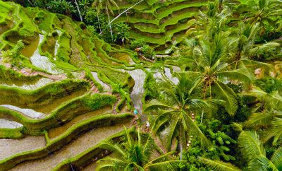 Discovering the Magic of Ubud: A Journey Through Indonesia’s Cultural Heartland
