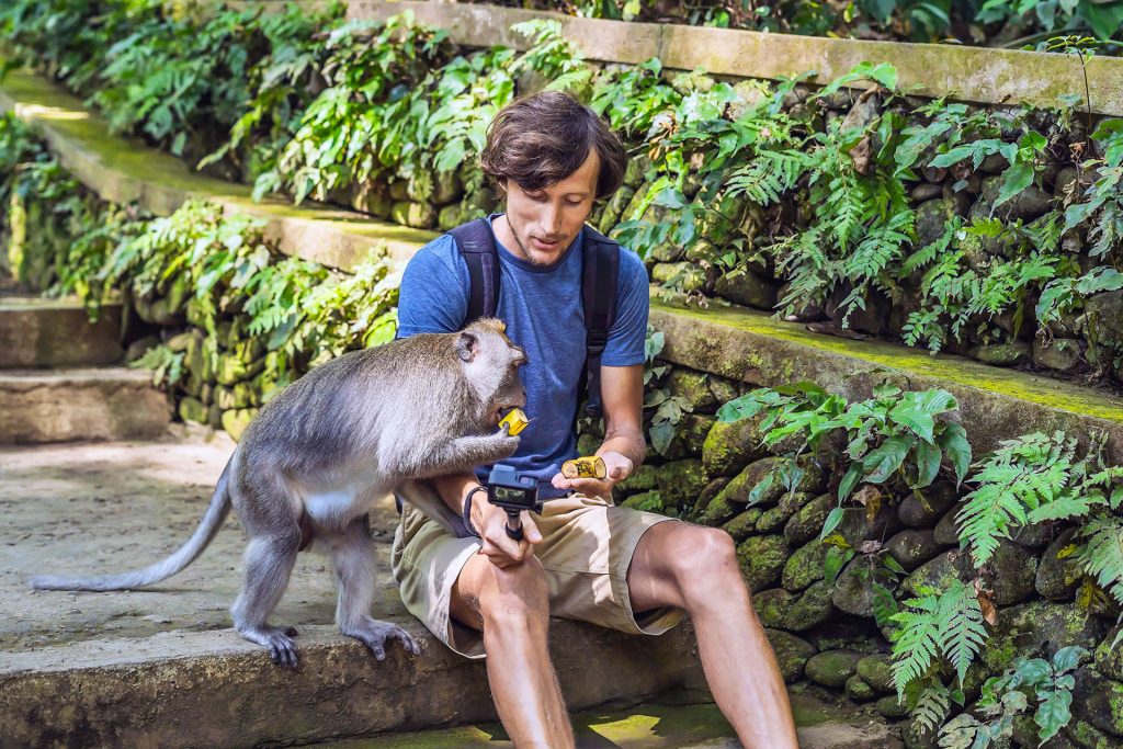 Interacting with the Monkey at Ubud Sacred Monkey Forest, the Most Popular Attractions in Ubud.